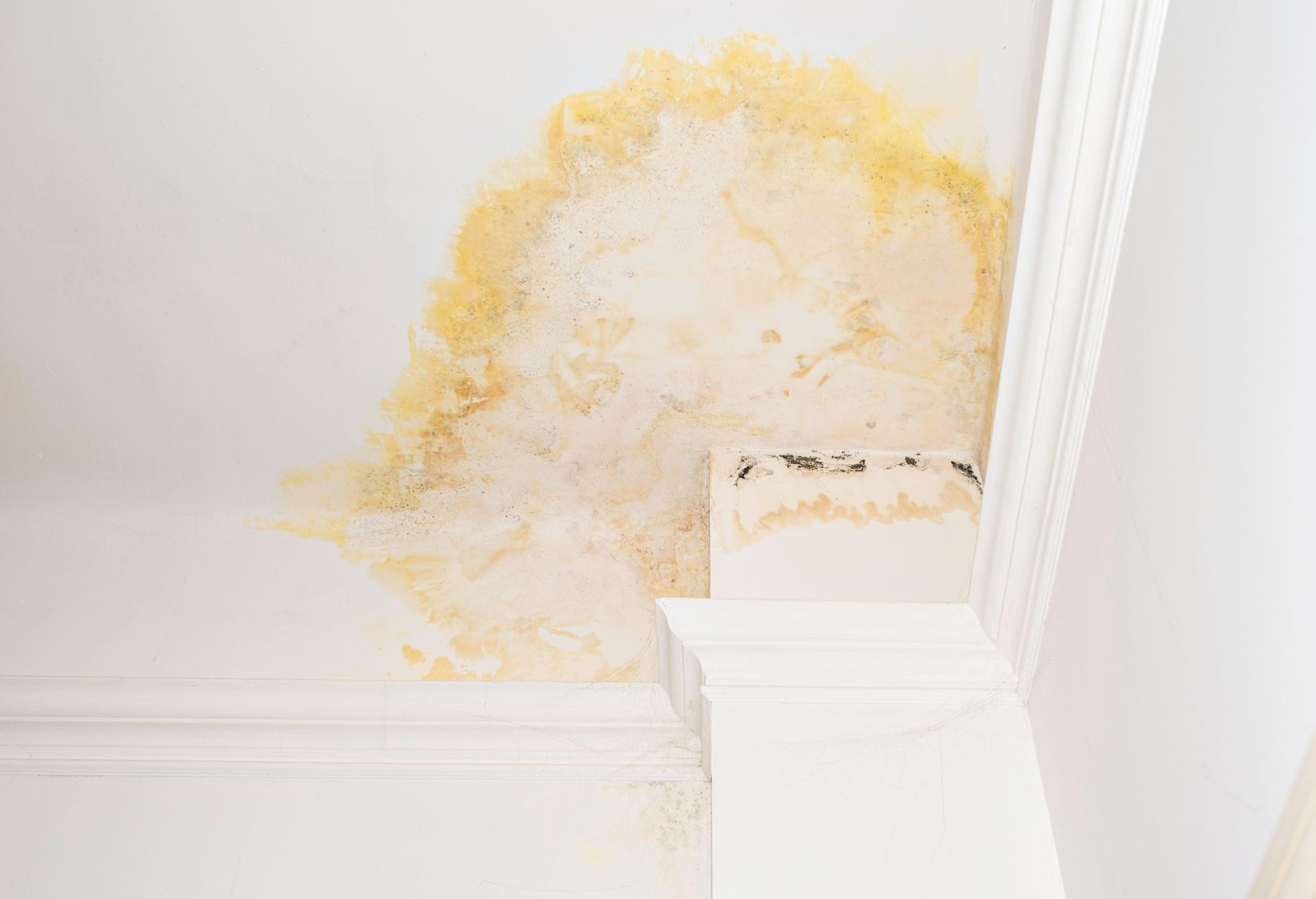 Interior of a room under construction, with drywall installed on walls and ceiling.
