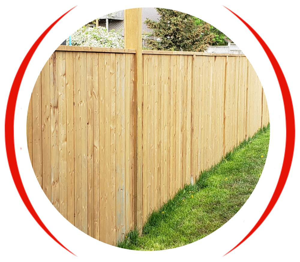 fence