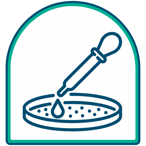 plat de pétanque