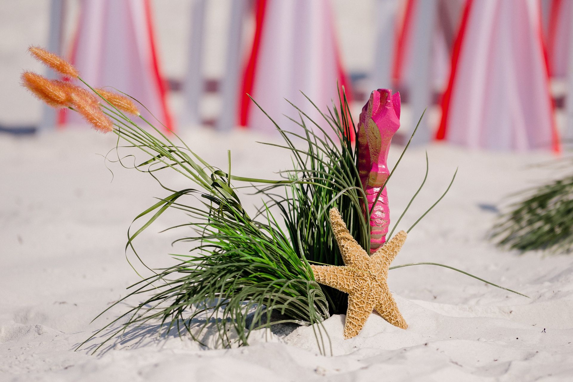 Beach-themed holiday arrangement with seashells, starfish, and green grass in white sand