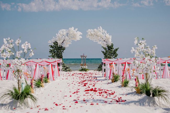 large beach wedding decorated with tropical plants