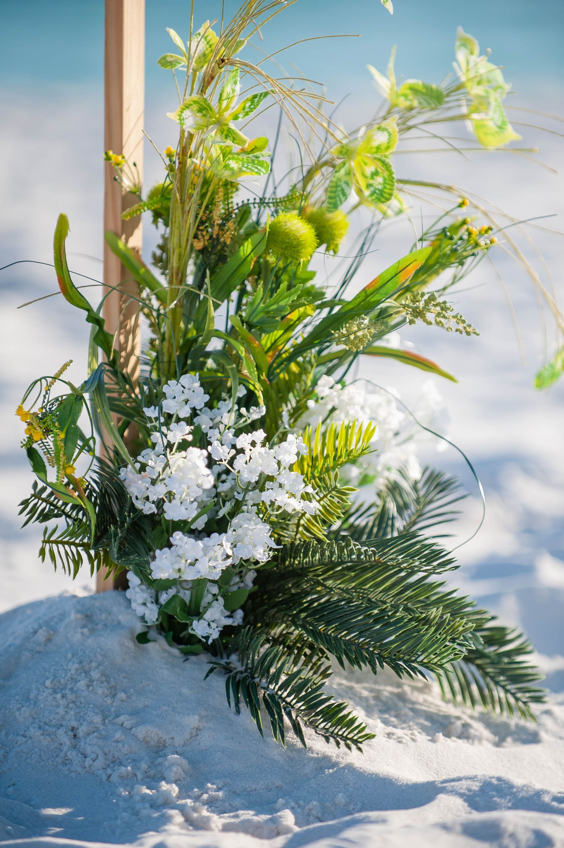 Flower arrangement in snow with white blossoms, green foliage, and pale yellow flowers against a blue sky