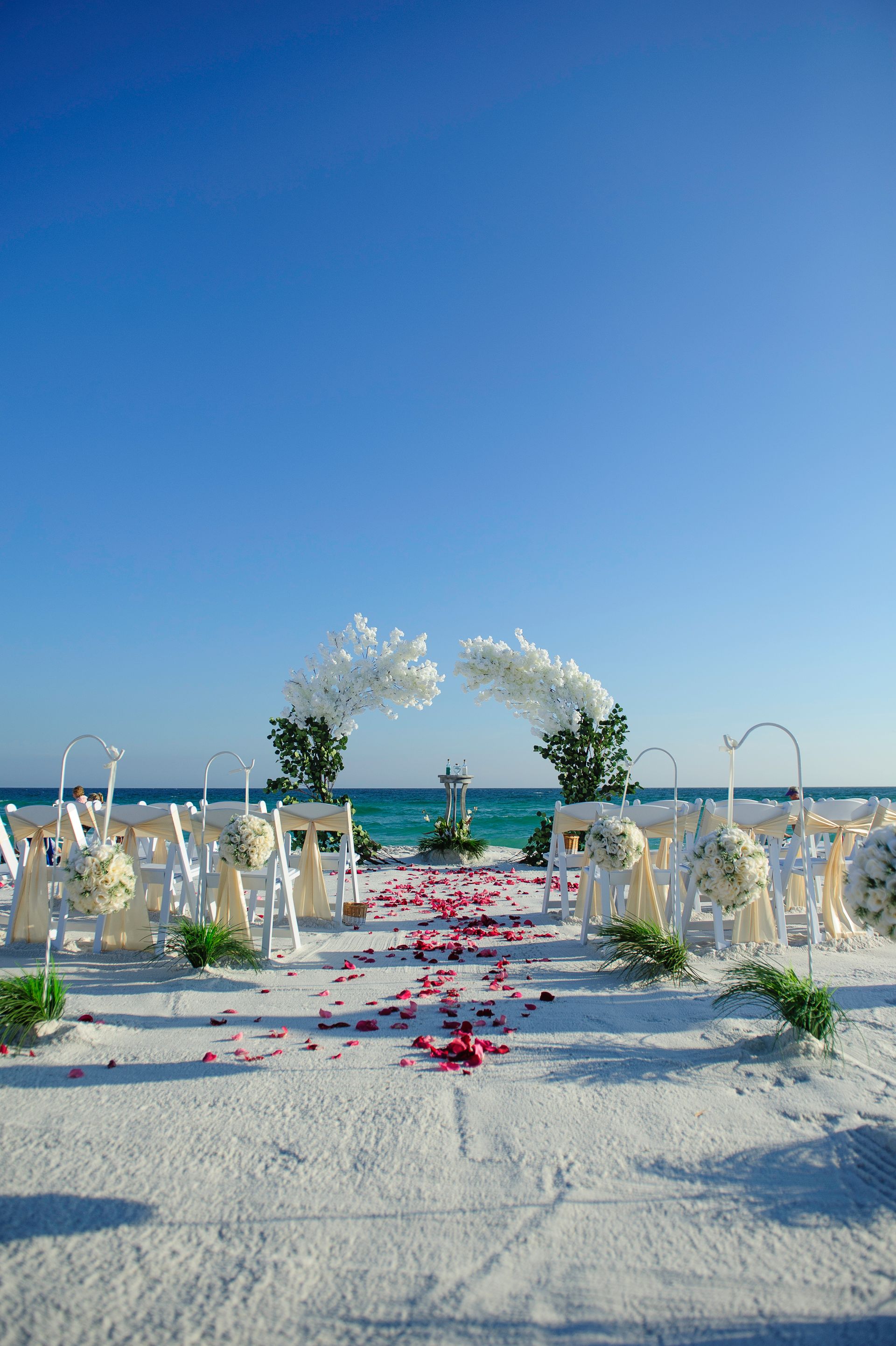 Beach wedding setup with white chairs, floral arch, and rose-petal aisle by the sea