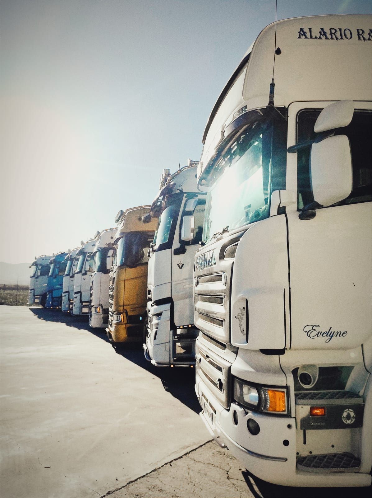Una fila di camion è parcheggiata in un parcheggio e uno di loro ha la parola 