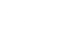 Ameren logo