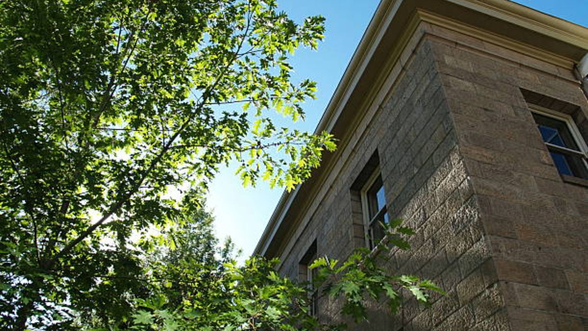Install Energy-efficient Windows for Higher Savings and Lower Bills