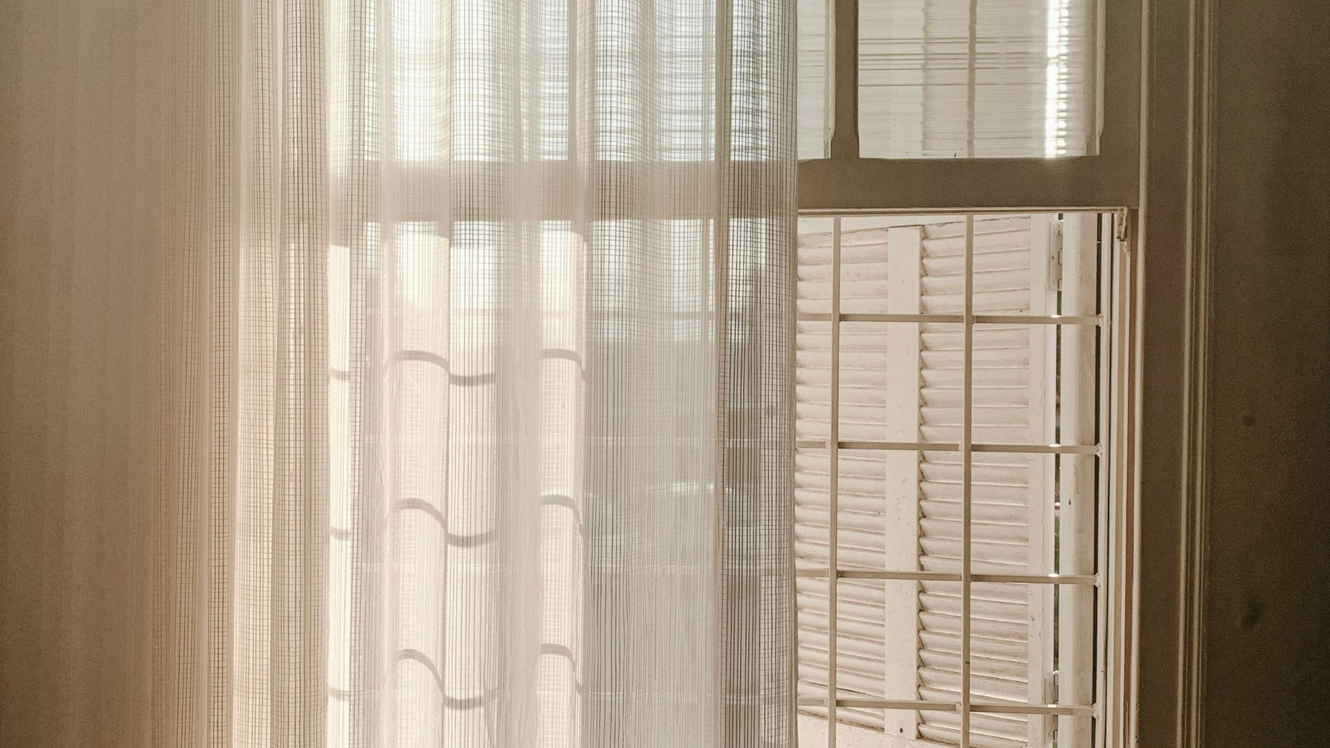 Sheer curtain beside a sunlit window with a metal grid