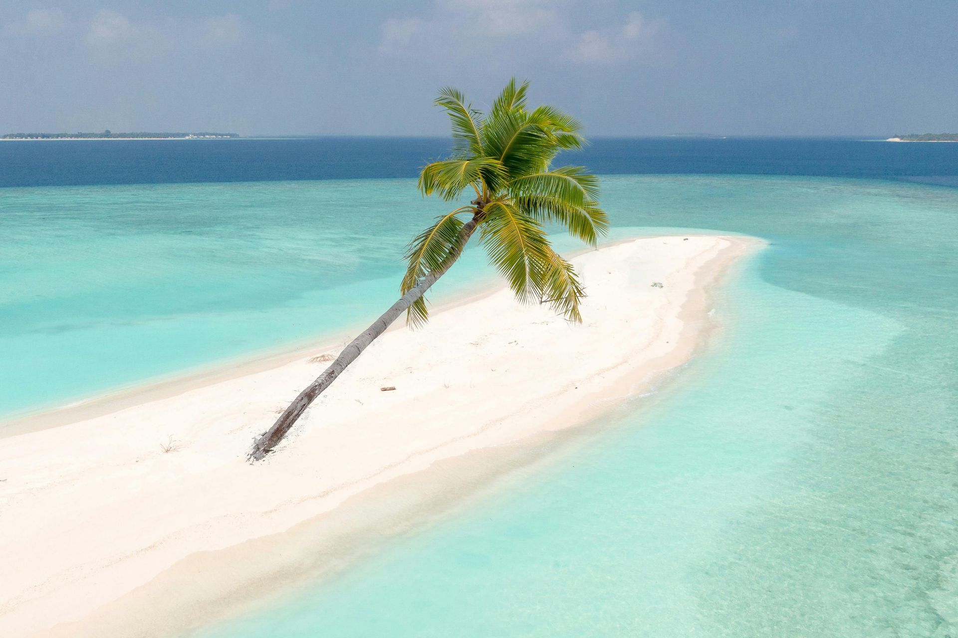 Sandy island with a leaning palm tree surrounded by turquoise water, under a blue sky.