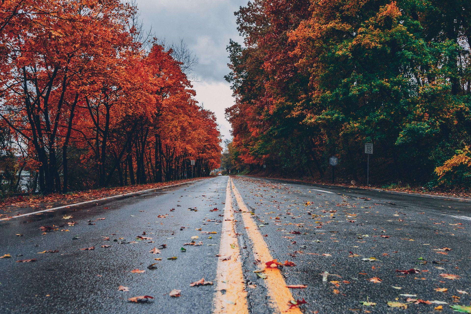 Road lined with trees in fall colors: red, orange, and green. Leaves scattered on the wet asphalt.