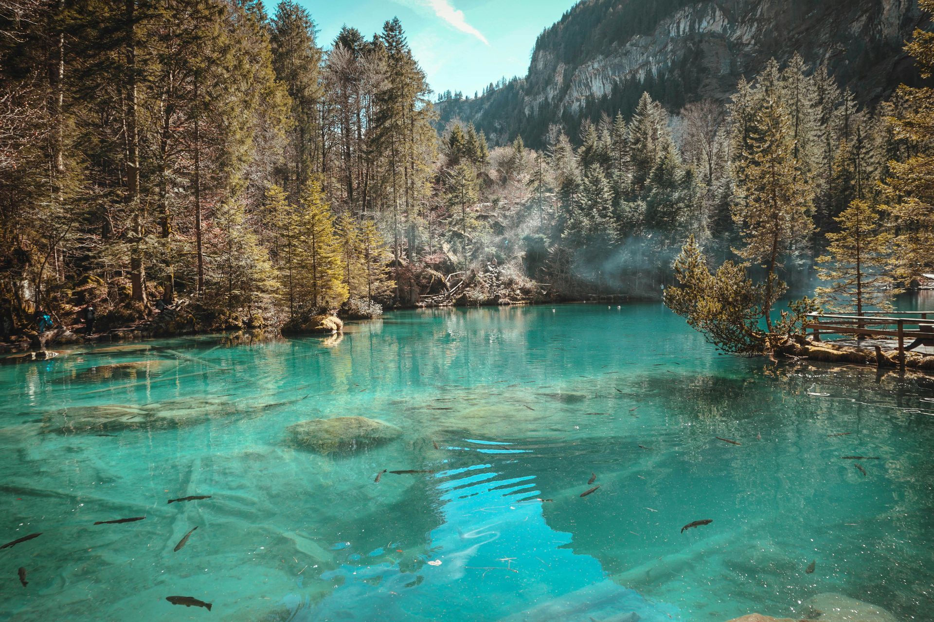 Turquoise lake in a forest setting with visible fish swimming near the surface, mountains in the background.