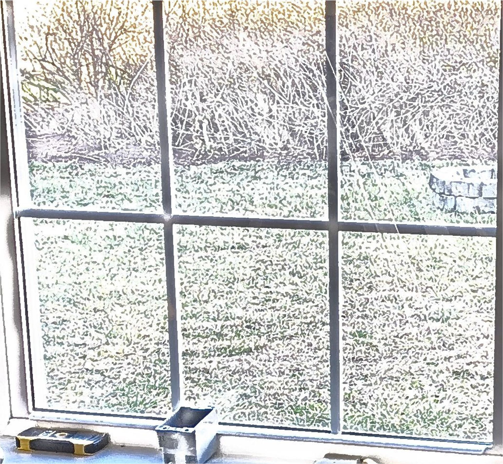 Sunny backyard seen through a white-paned window, with a windowsill holding a tape measure and a small container.