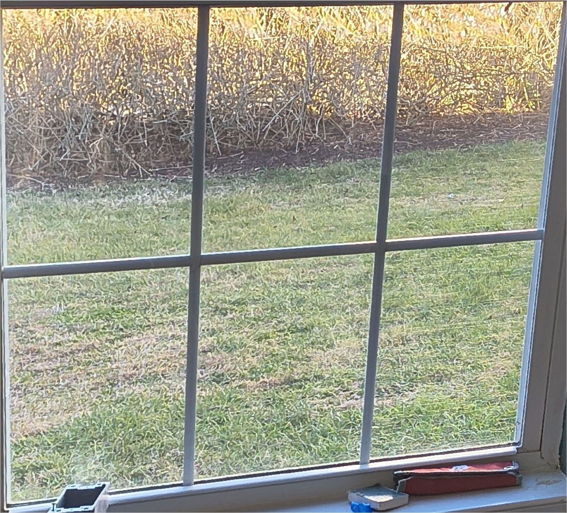 Window with a view of a grassy yard and bushes, with a red tool resting on the sill