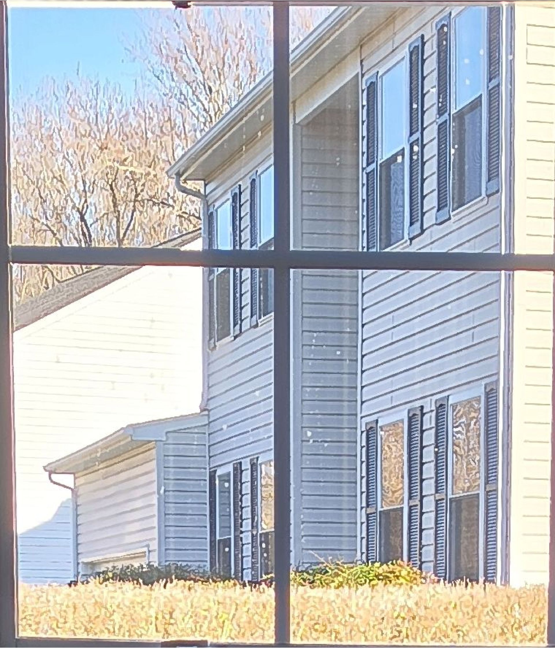 Gray house exterior seen through a window, with blue shutters and bare trees in the background