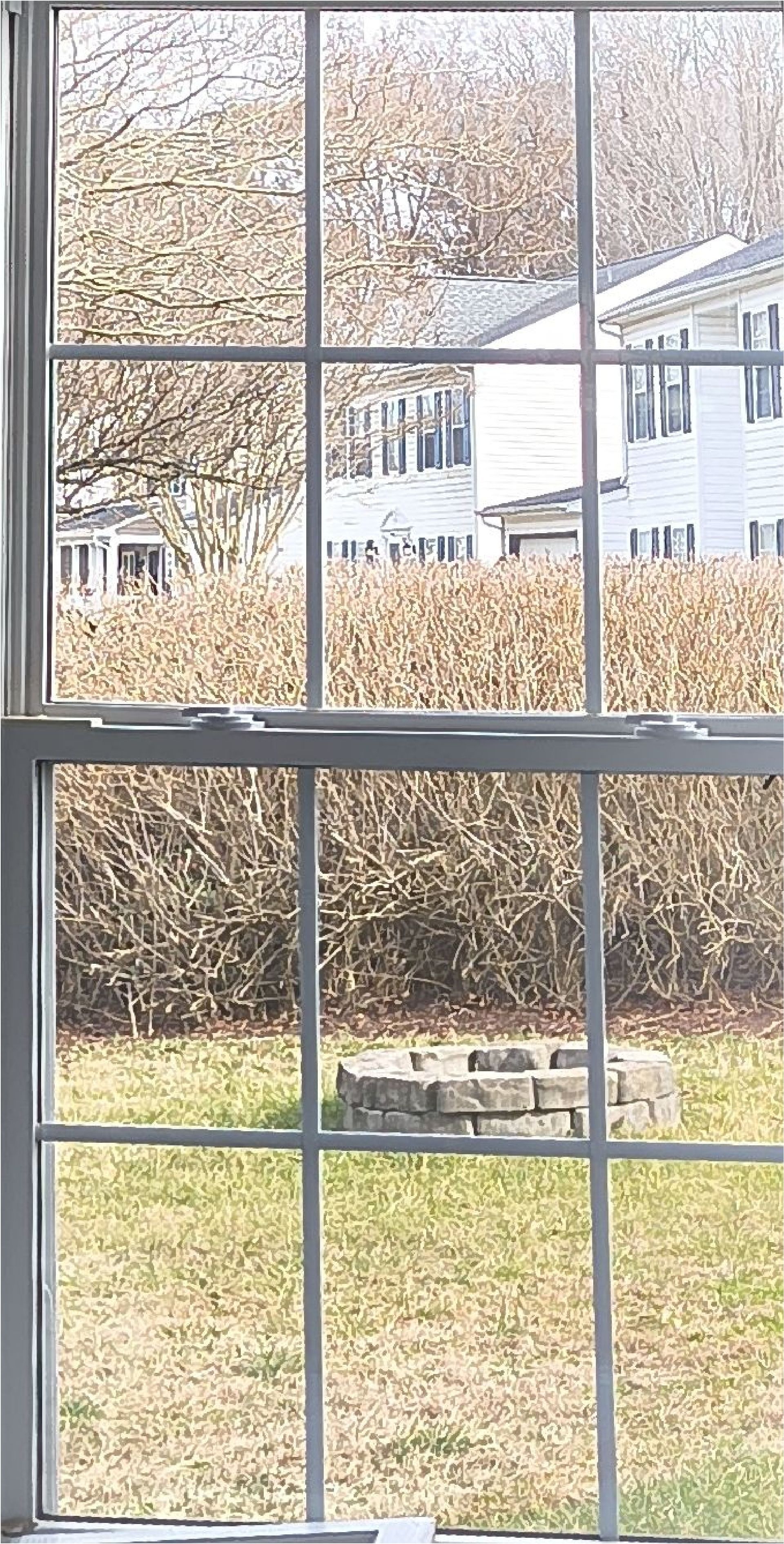 View through a window of a backyard with a bench, leafless hedge, and white houses beyond.