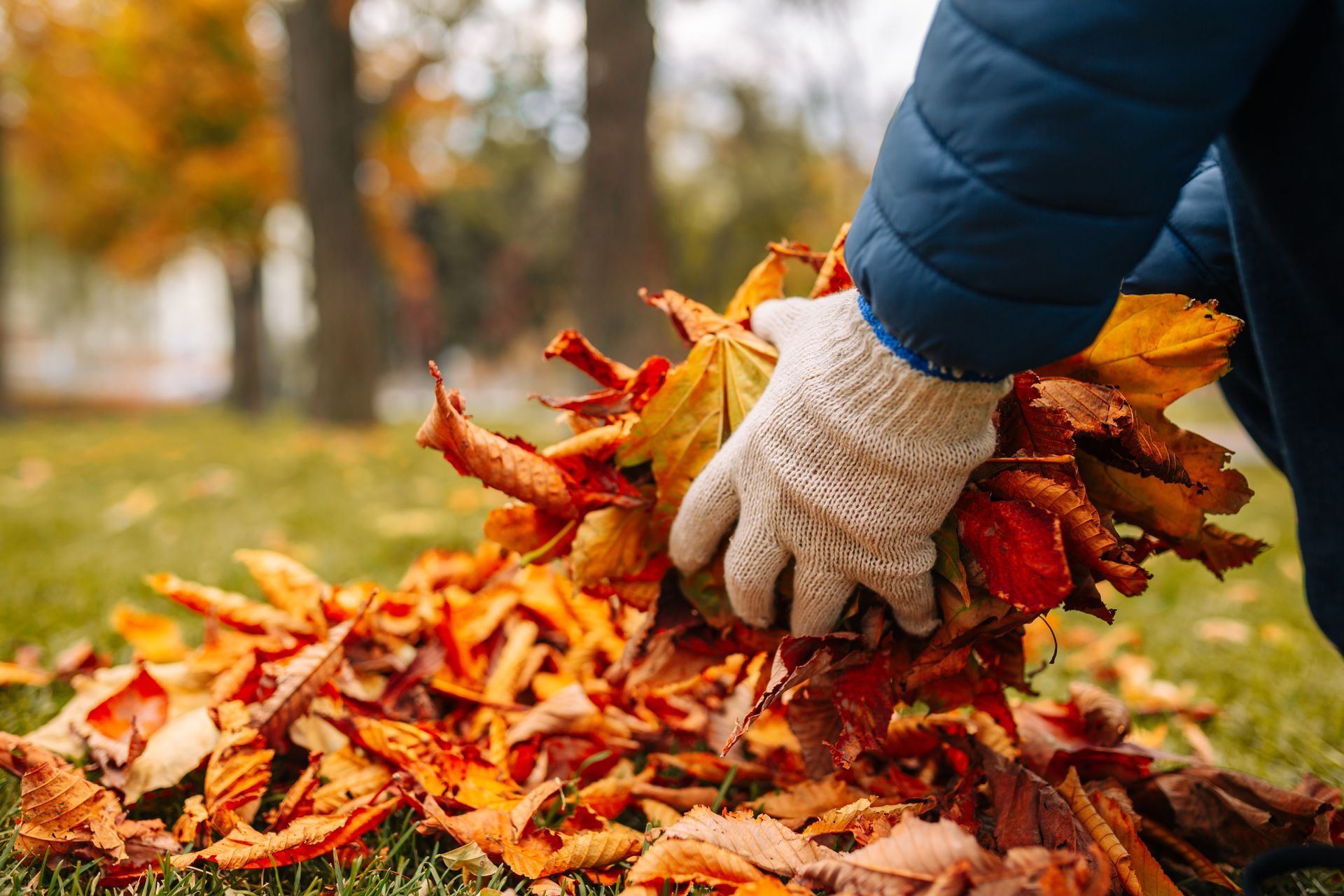 Gloved hands gathering a pile of colorful autumn leaves outdoors