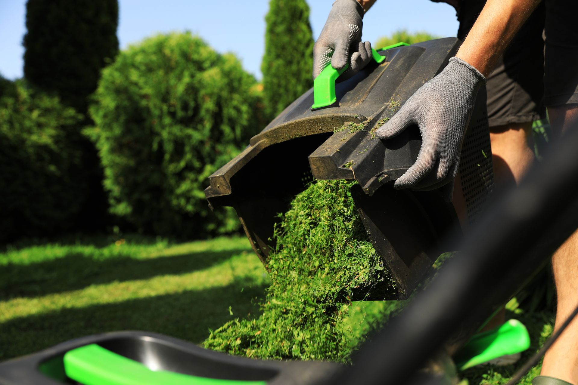 Hands emptying green grass clippings from a lawn mower bag into a yard waste bin.
