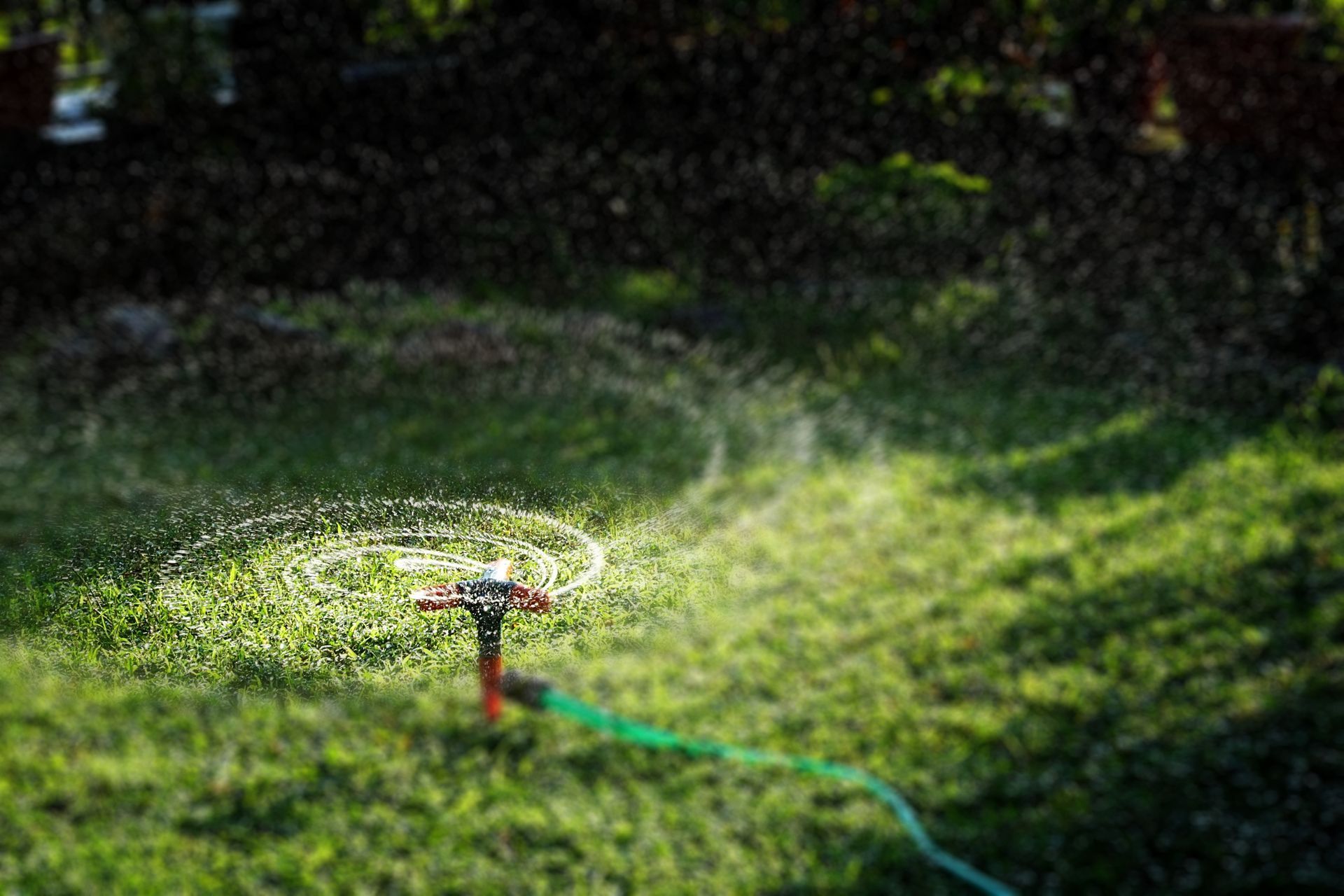 Sprinkler spraying water over a green lawn at dusk