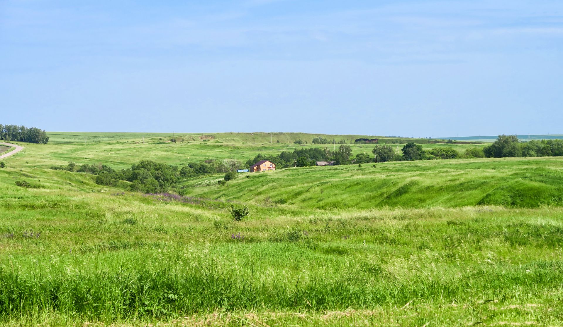 Rolling green hills under a clear blue sky, with a small cluster of trees in the distance.