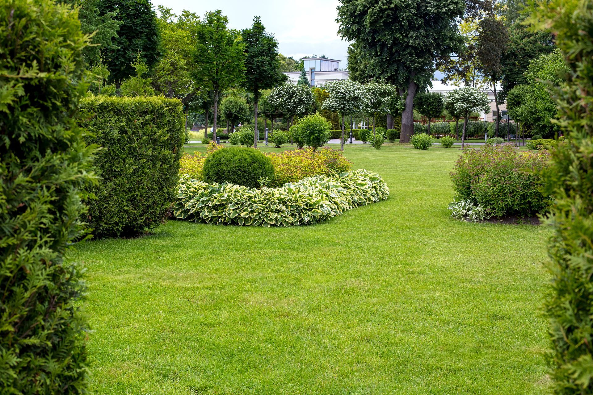 Lush green garden with trimmed hedges