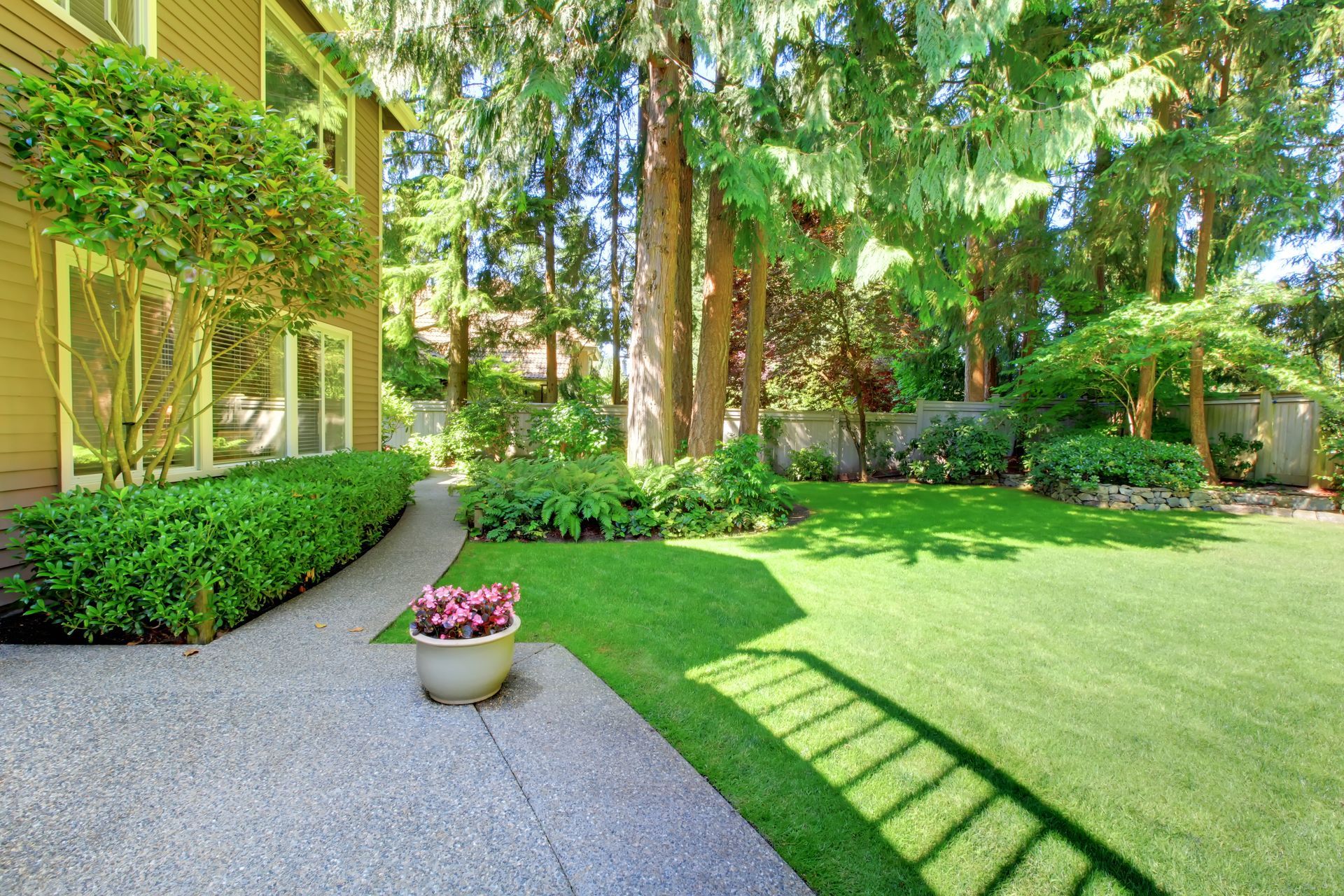 Sunny garden patio with potted flowers, green lawn, and trees beside a house.