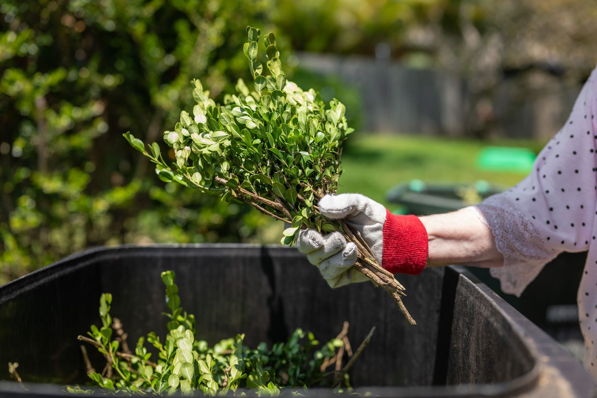 Gloved hand holding a freshly pulled plant over a garden bin outdoors