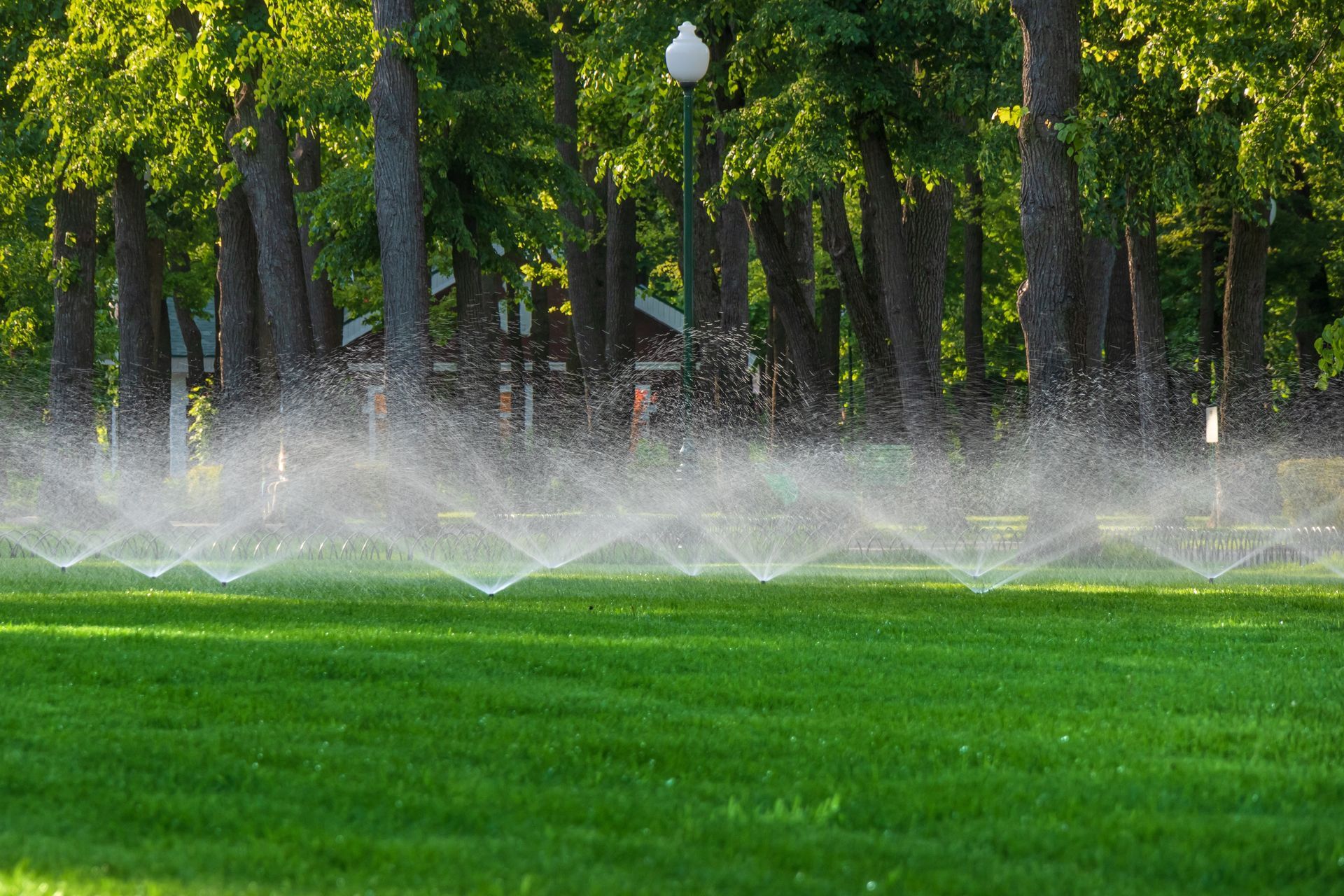 Sprinklers misting a bright green park lawn beneath tall trees