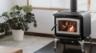 Wood-burning stove with a visible fire beside a potted plant in a bright room Wood-burning stove with a visible fire beside a potted plant in a bright room