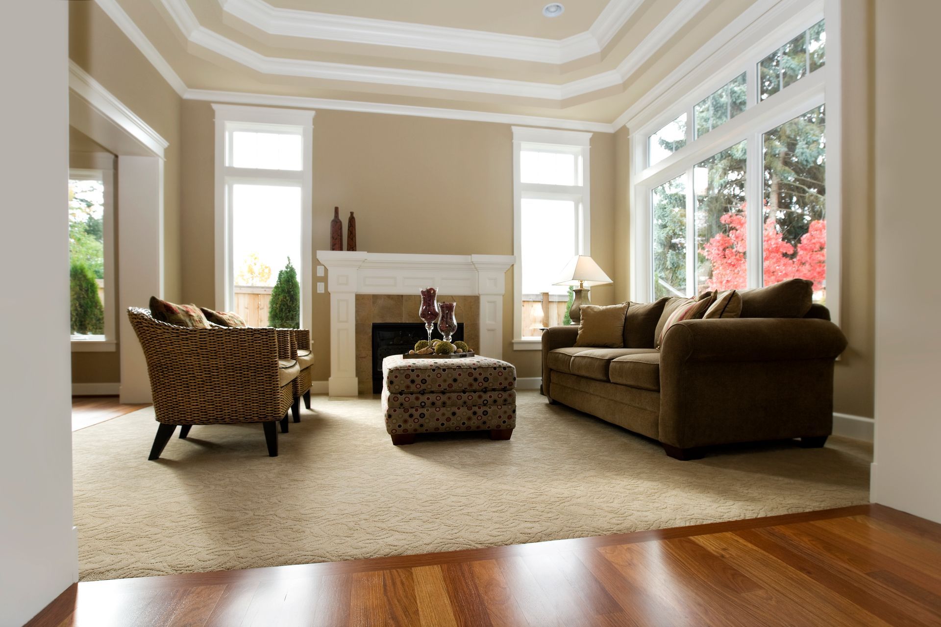 Luxury Living Room With Hardwood Flooring and Carpet