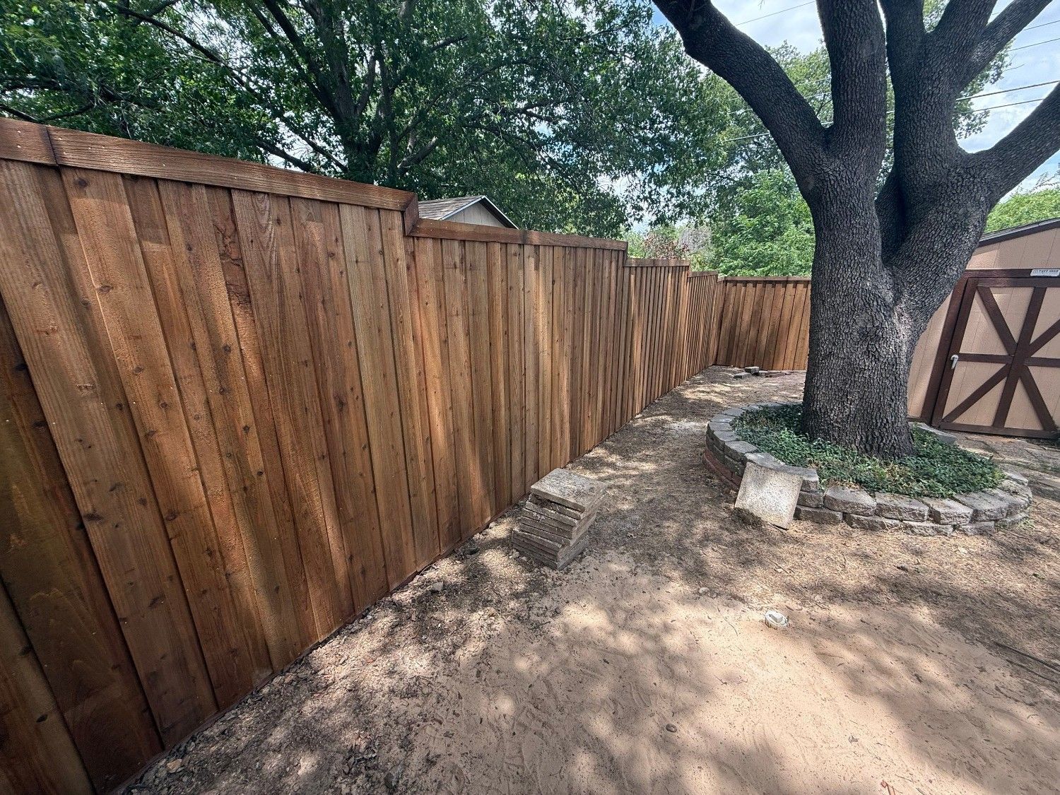 Wooden privacy fence curving along a dirt path beside large trees in a backyard.