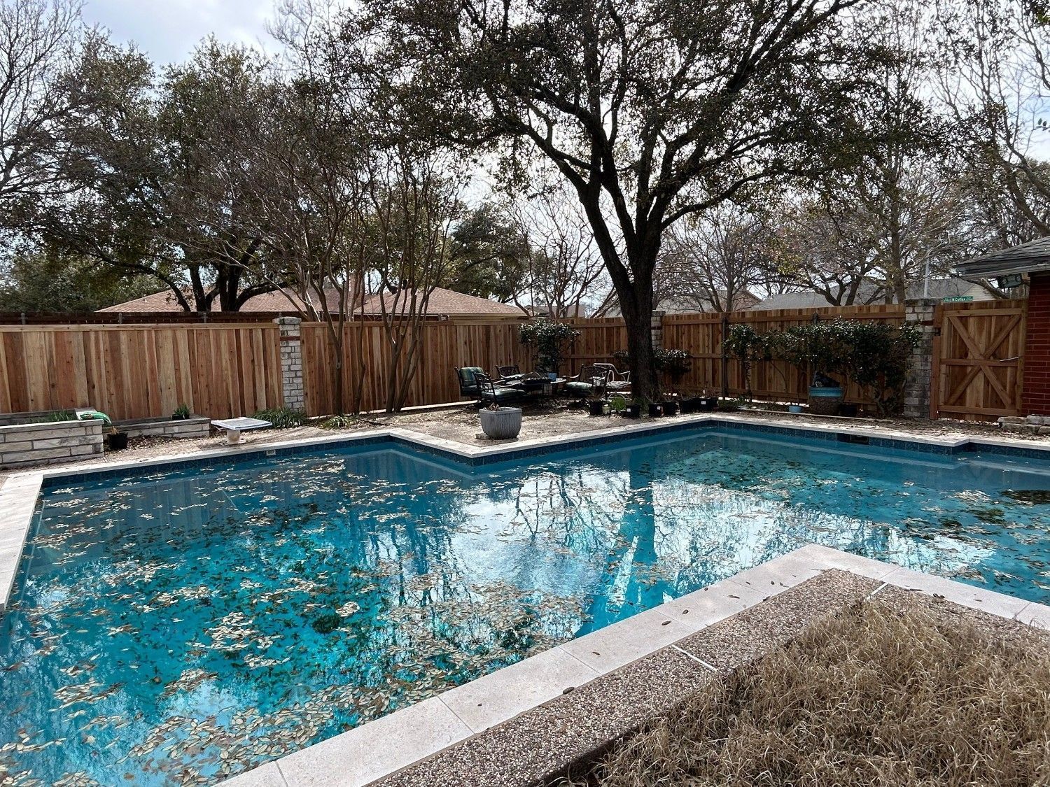 Backyard swimming pool with blue water, patio seating, wooden fence, and leaf-covered surface under trees