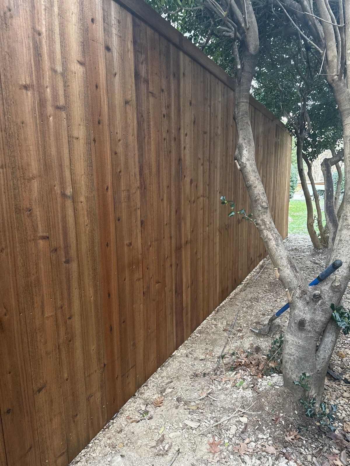 Wooden fence beside a dirt path with trees and a blue-handled tool leaning against a trunk.