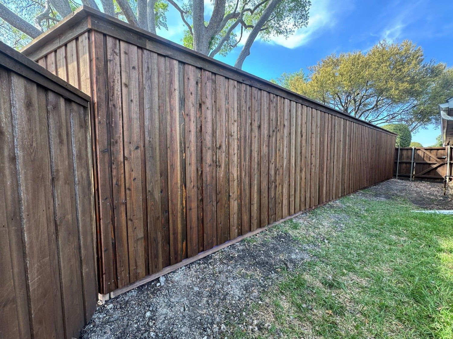 Wooden privacy fence along a grassy yard with trees overhead and a gravel strip at the base