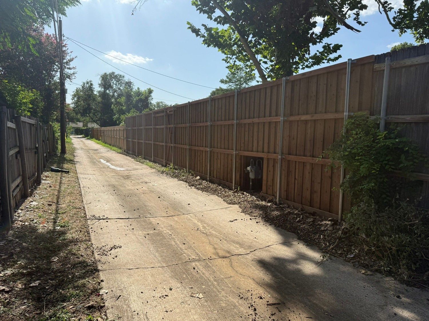 Dirt alley beside tall wooden fences under bright sunlight, with trees overhead and a small animal door in the fence
