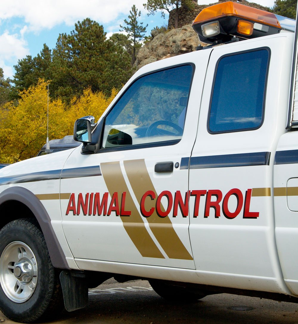 Safety Features to Use in Animal Control Truck Design