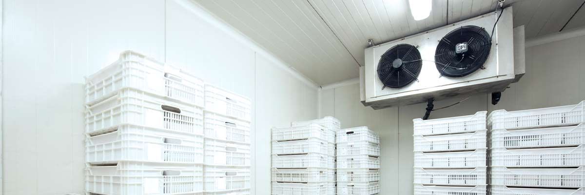 Interior of a cold storage room with stacks of white plastic crates and cooling units.