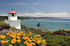 A lighthouse on a cliff overlooking the ocean with flowers in the foreground