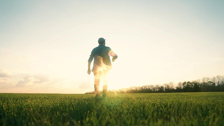 Agriculture man farmer a agronomist sunset walk green field of wheat grass. agriculture farming business concept.