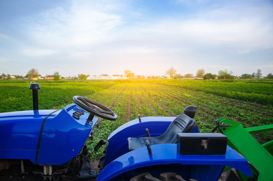Blue tractor on farm field. Agricultural machinery and technology. Farming and vegetable growing. Modernization. Subsidies and tax refunds for purchase of new equipment.