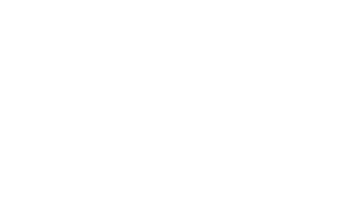 ECSS Logo White
