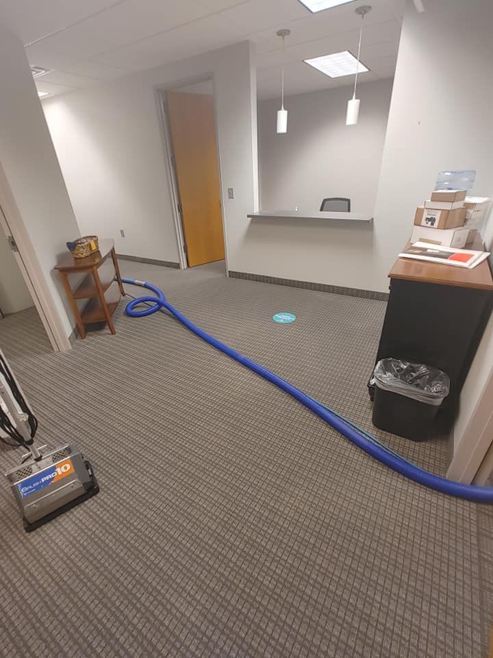 A vacuum cleaner is sitting on a carpeted floor in a room.