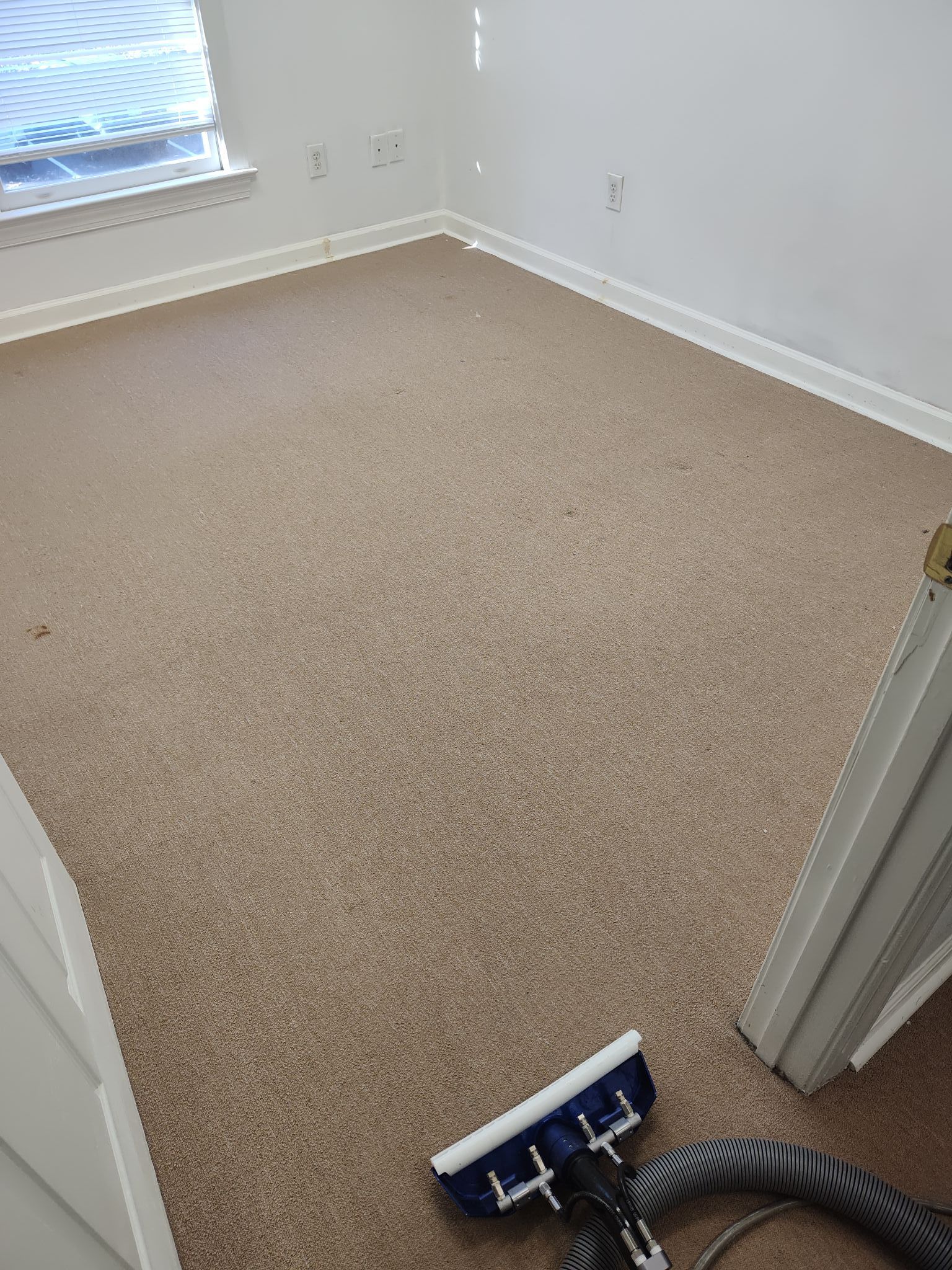 A vacuum cleaner is sitting on a carpeted floor in a room.