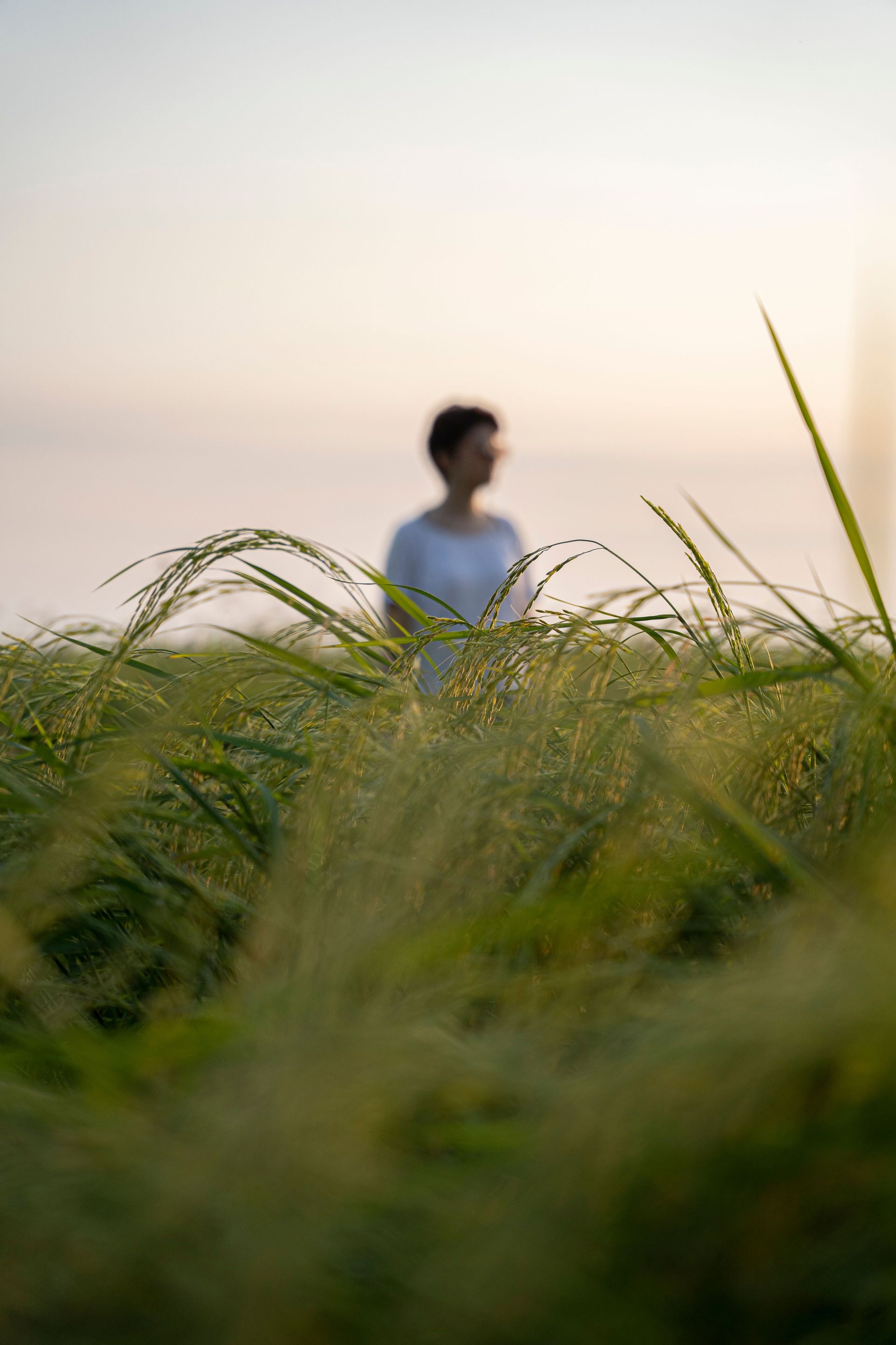man, uit focus, in veld