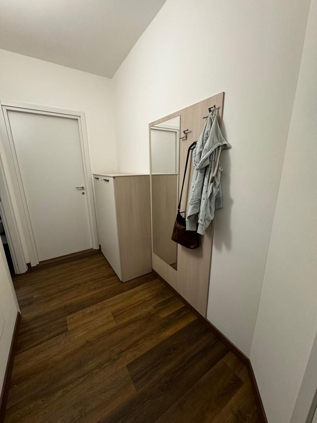 Smalle hal met houten vloer, witte muren, een deur, een kast en jassen die aan een wandspiegel hangen.