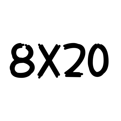 8 x 20