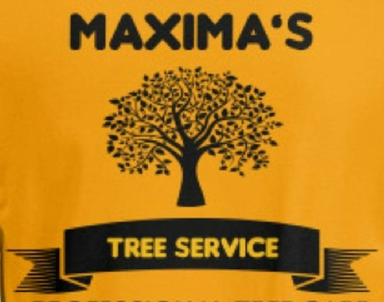 Maxima's Tree Service LLC Maxima's Tree Service LLC