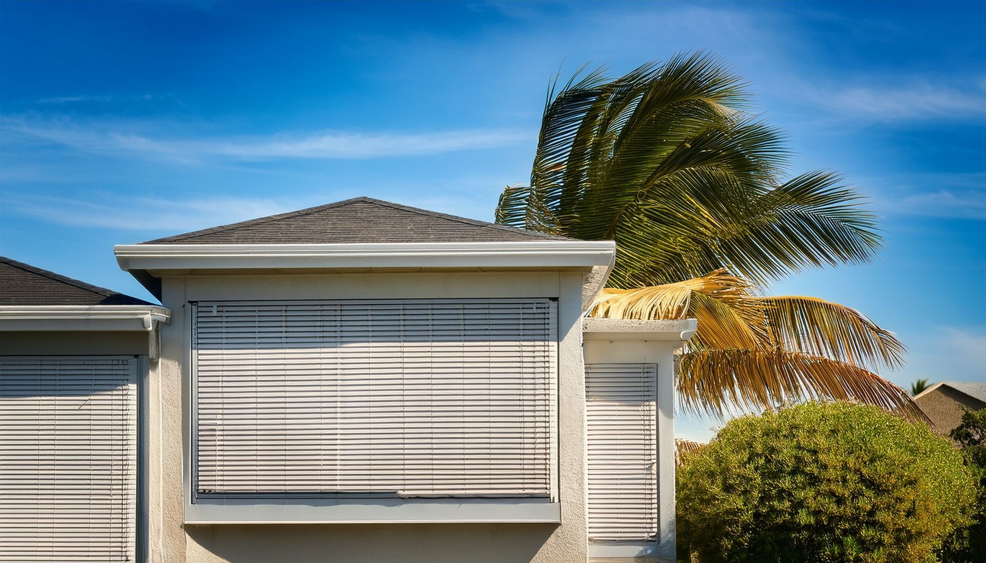 Secured hurricane shutters with swaying palm trees. Secured hurricane shutters with swaying palm trees.