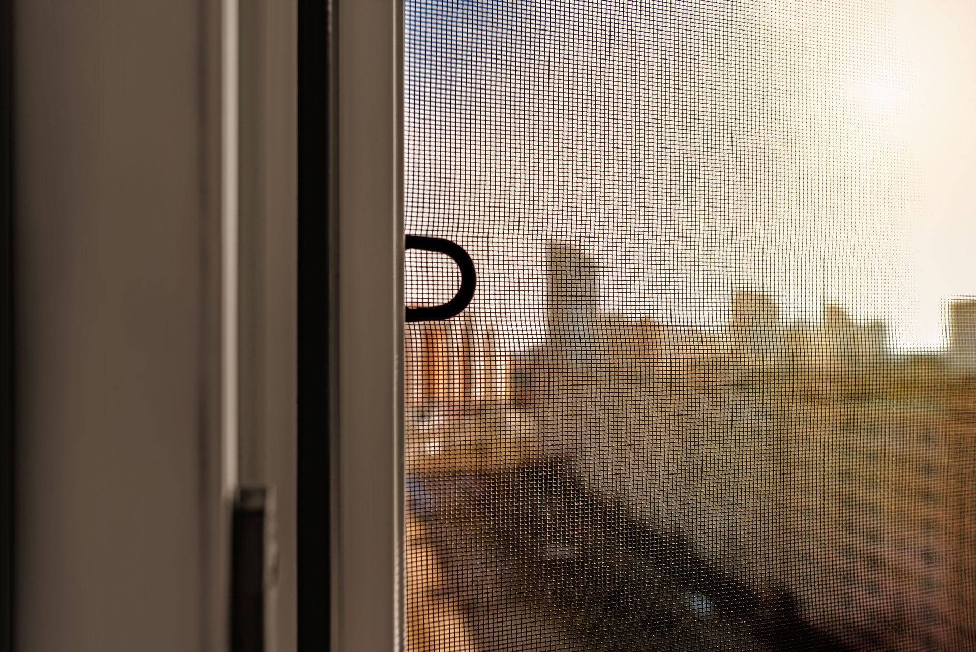 A cat is looking out of a window through a screen door.