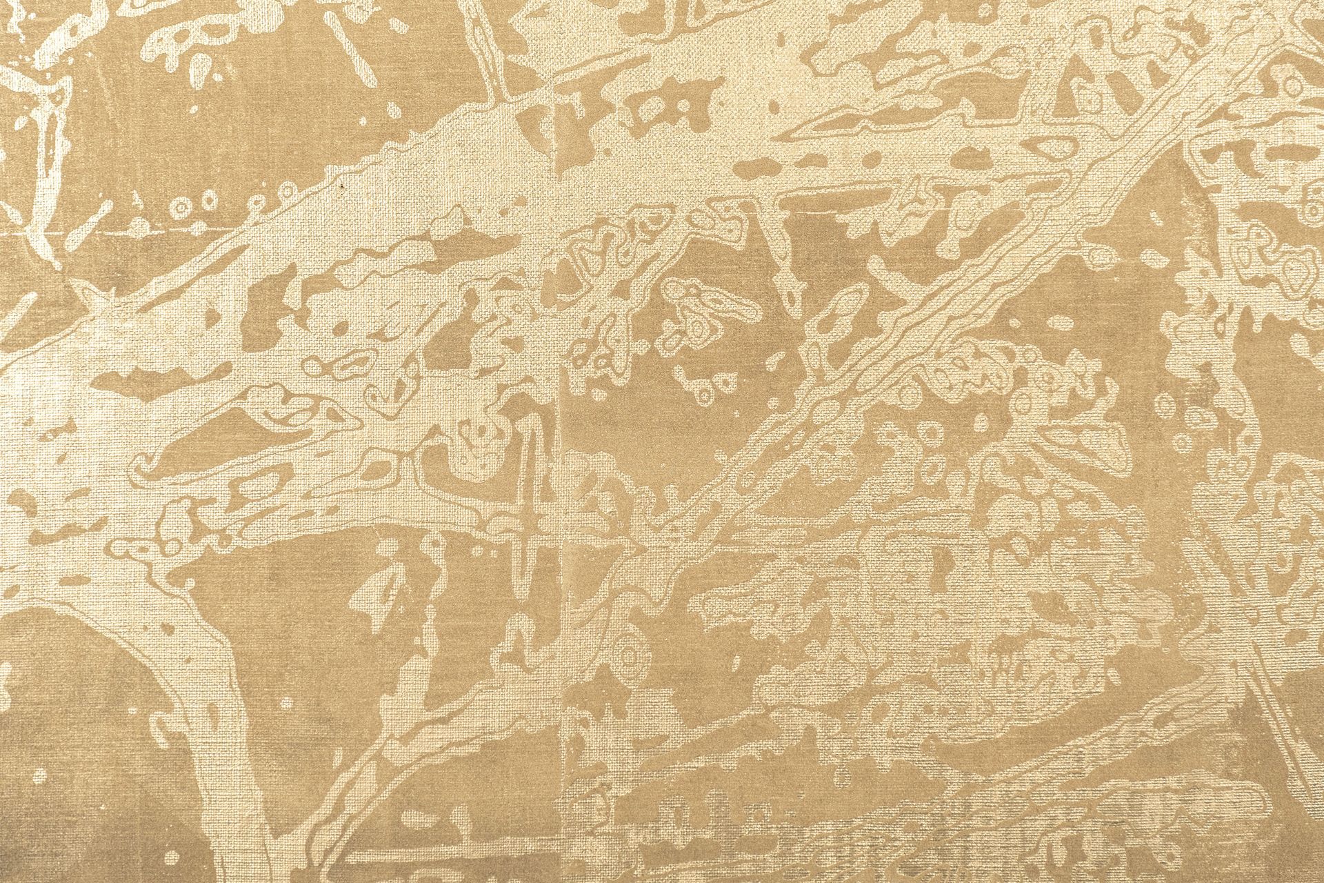 View of Shin Masaharu online exhibition