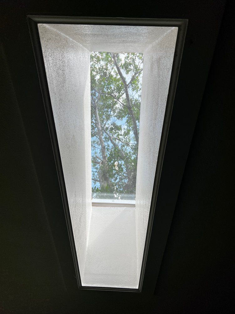 A view of trees through a skylight in a building