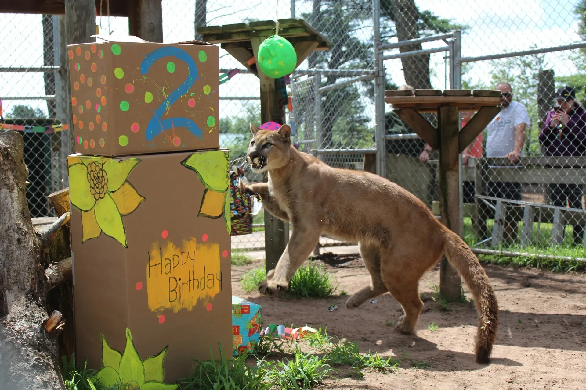 Photo: Wilderness Walk Zoo